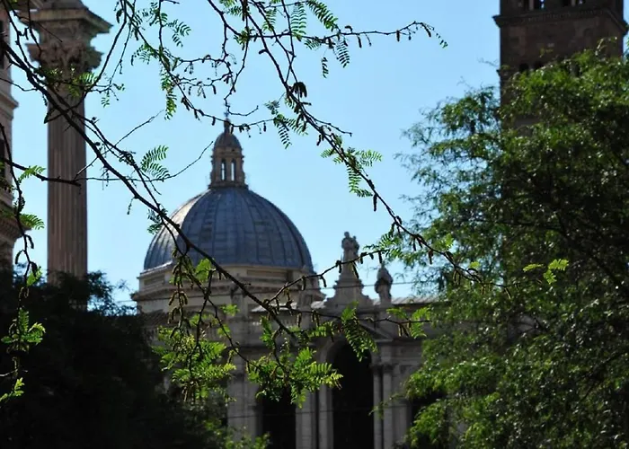 Vatican Catone *